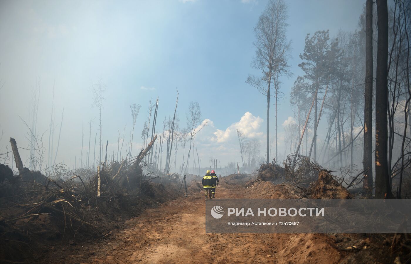 Лесные пожары в Тверской области