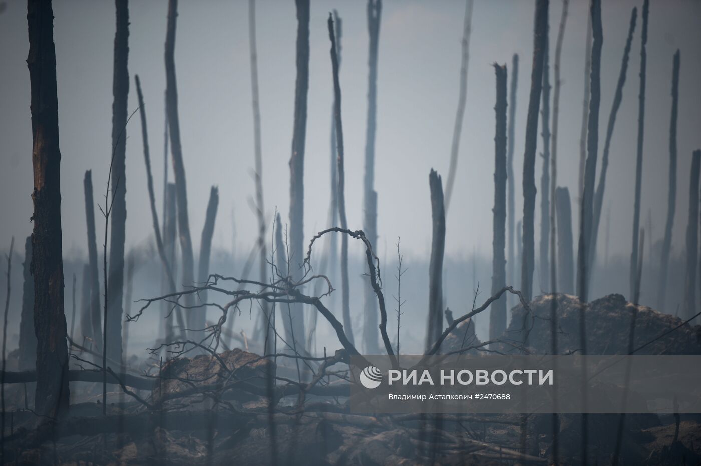 Лесные пожары в Тверской области