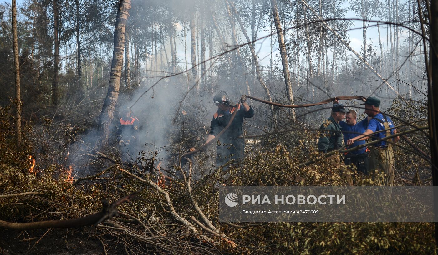 Лесные пожары в Тверской области