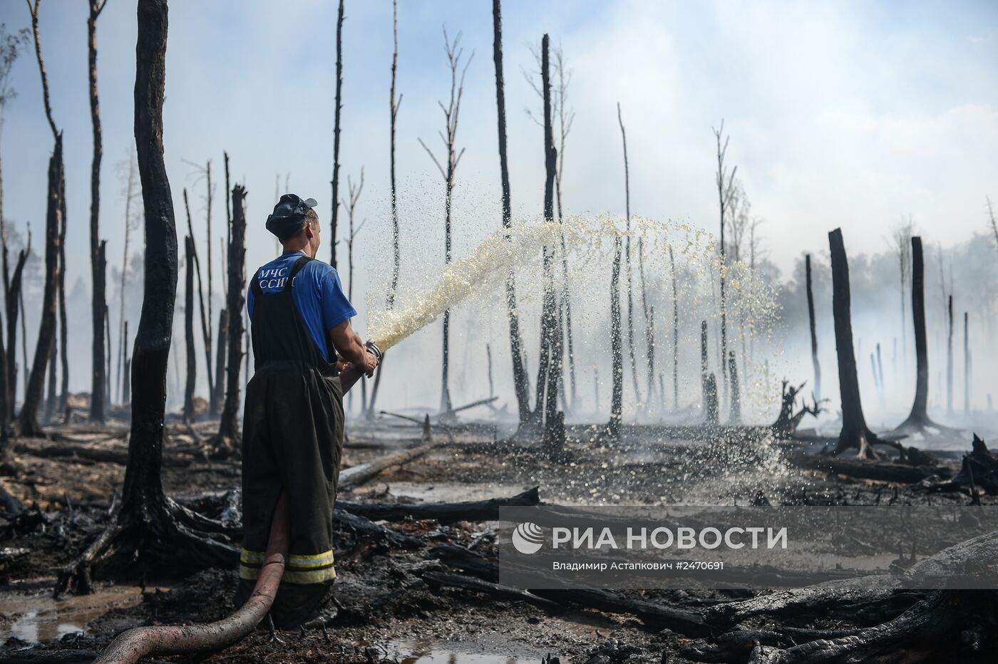 Лесные пожары в Тверской области