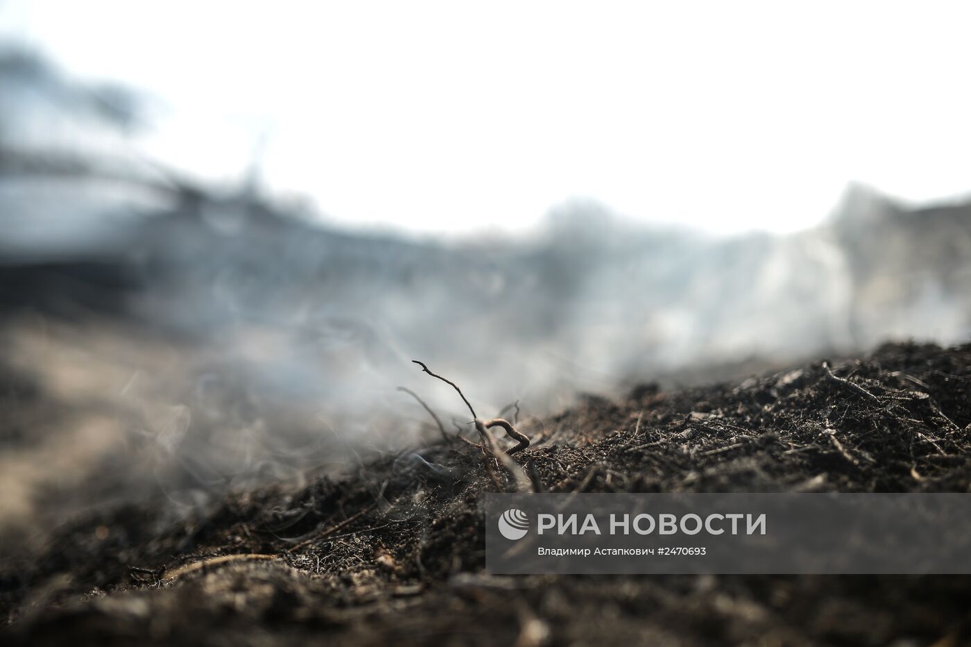 Лесные пожары в Тверской области