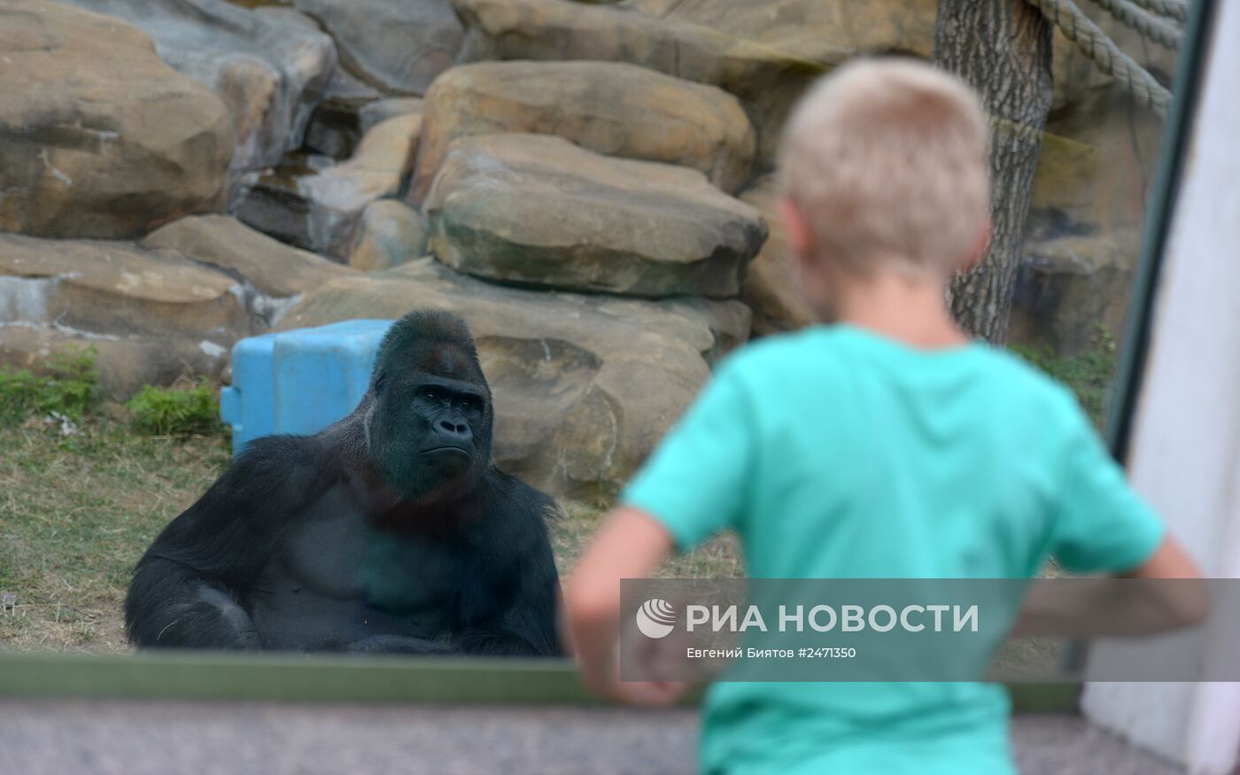 150-летний юбилей Московского зоопарка