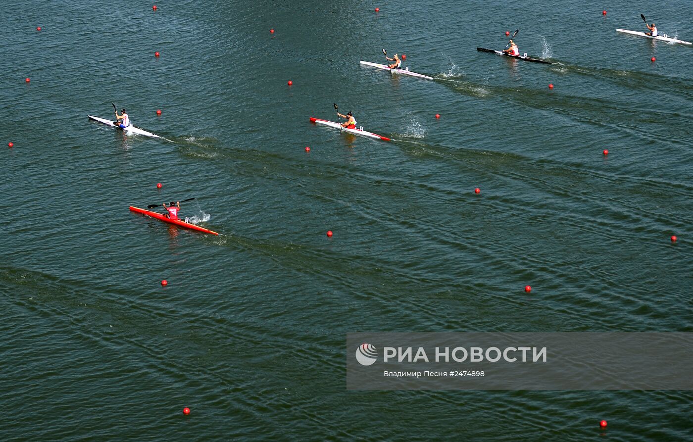 Чемпионат мира по гребле на байдарках и каноэ. Пятый день