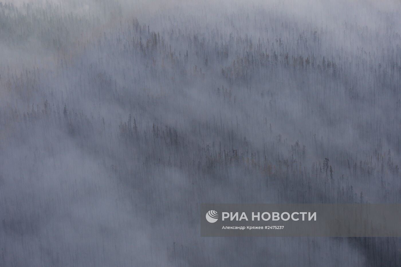 Тушение природных пожаров в Якутии