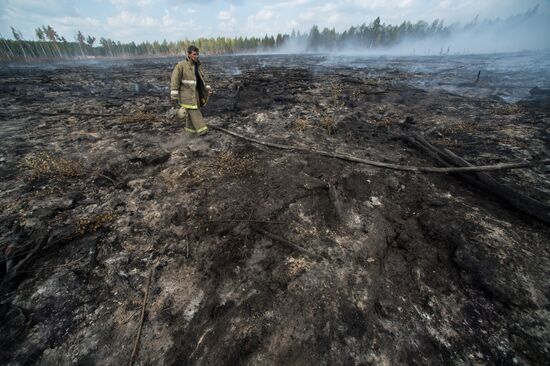 Тушение торфяных пожаров в Тверской области