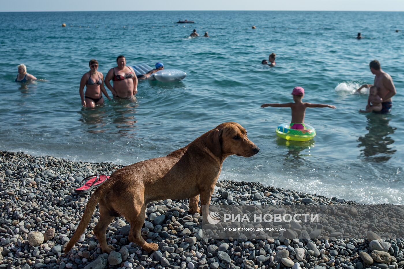 Отдых в Краснодарском крае