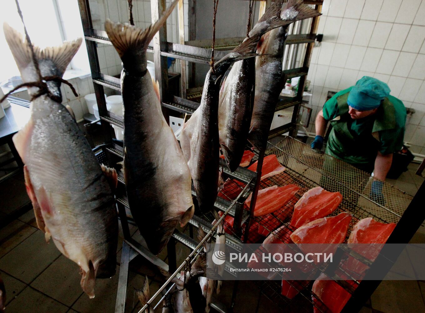 Рыбоперерабатывающее предприятие "Рыбомиров" в Приморском крае