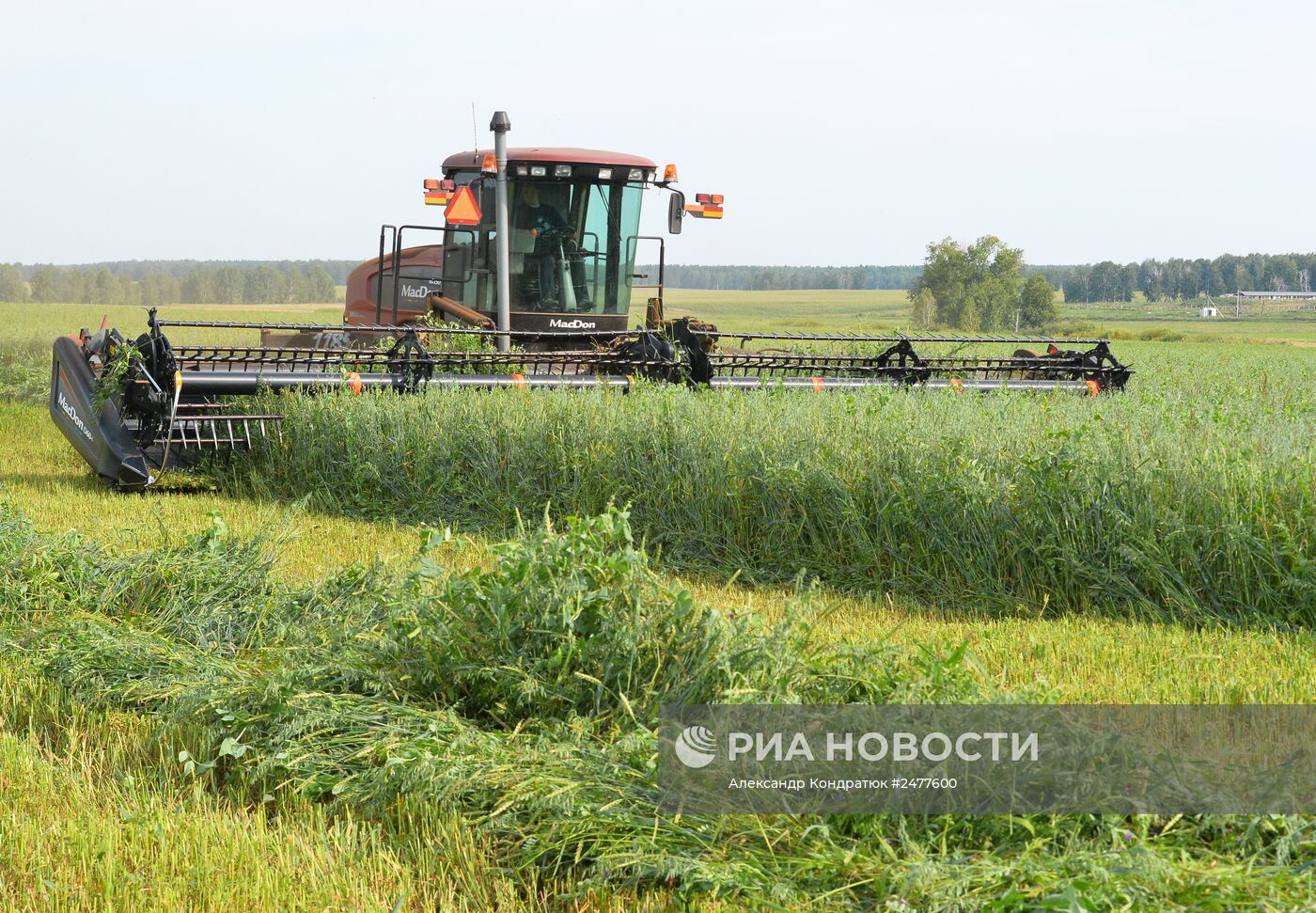 Работа в совхозе "Коелгинское" Челябинской области