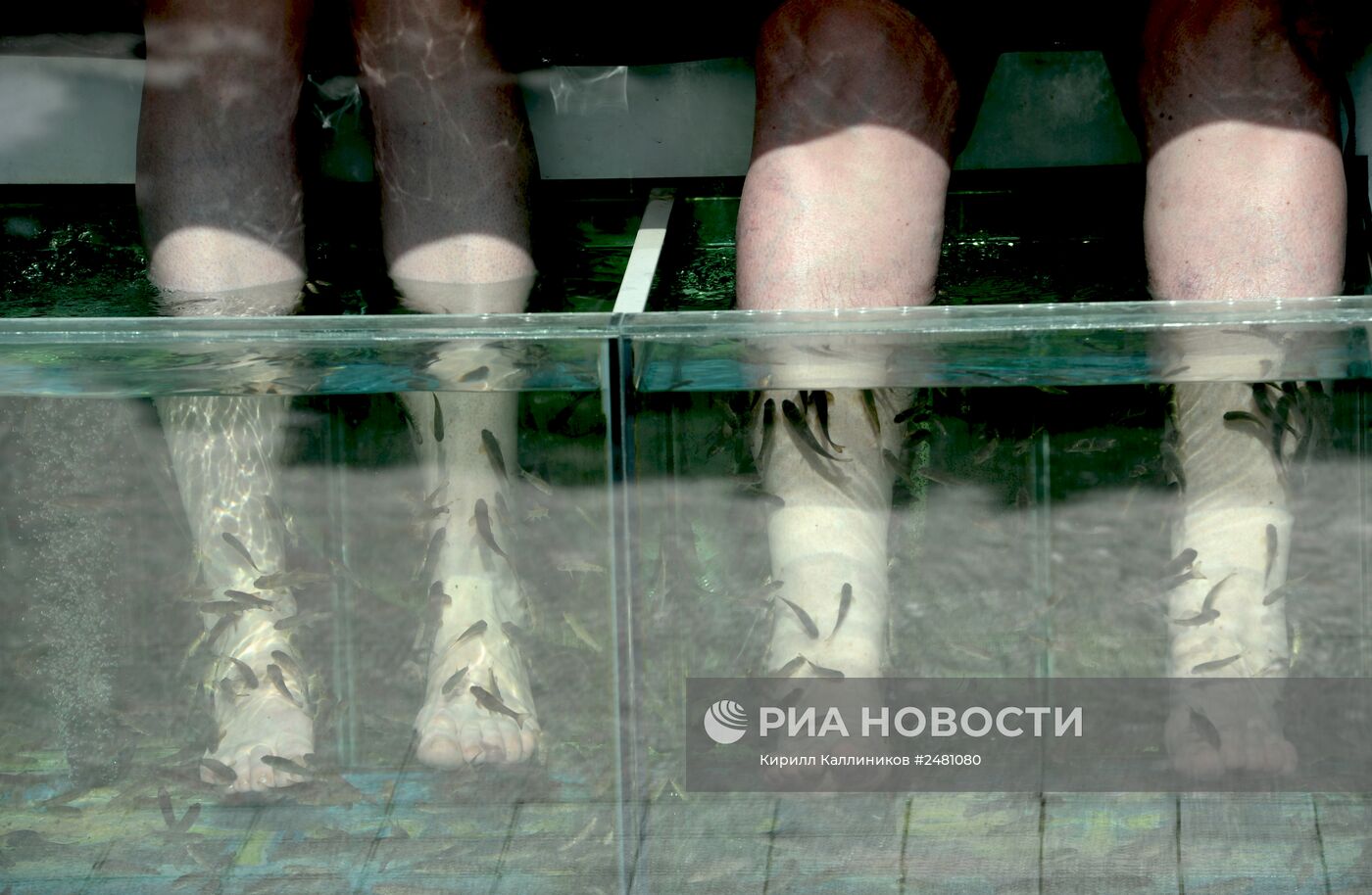 Отдых в Анапе