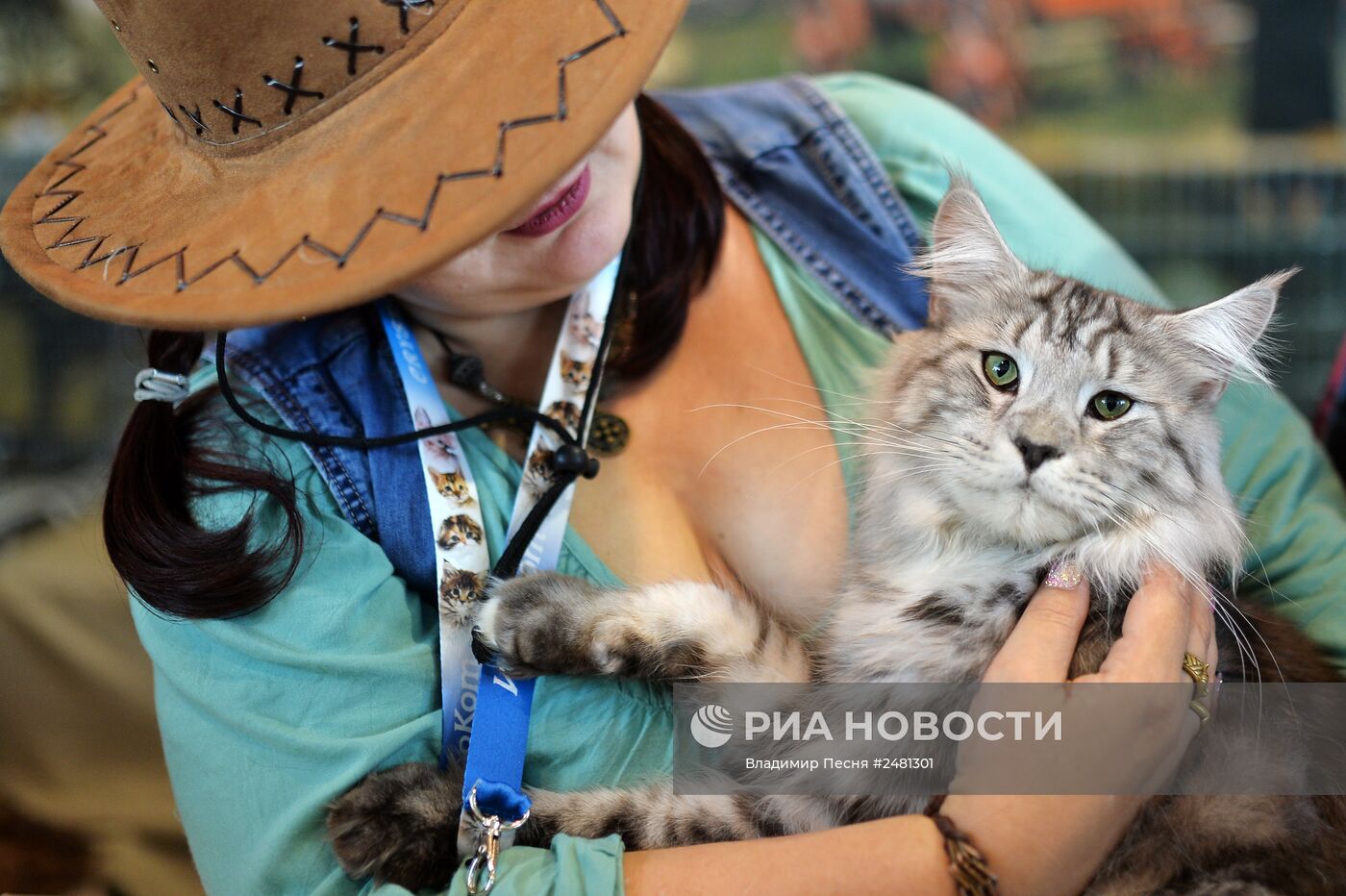 Международная выставка кошек "ИнфоКот 2014"