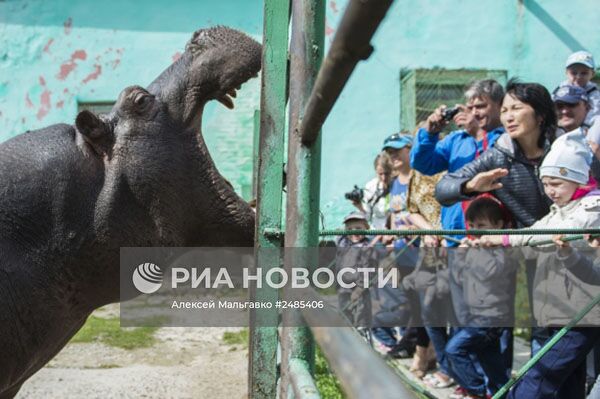 Cельский зоопарк в Омской области