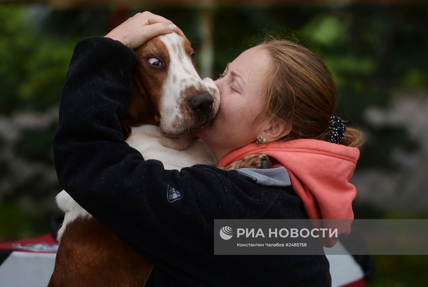 Выставка собак "Господин Великий Новгород - 2014"