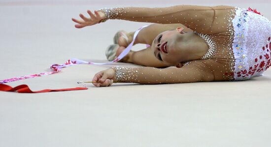 Художественная гимнастика. Этап Кубка мира. Второй день