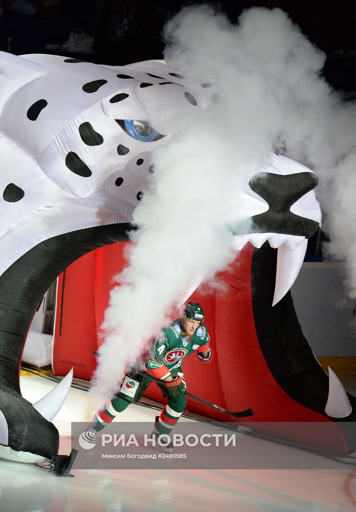 Хоккей. КХЛ. Матч "Ак Барс" - "Медвешчак"