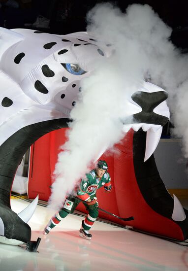 Хоккей. КХЛ. Матч "Ак Барс" - "Медвешчак"