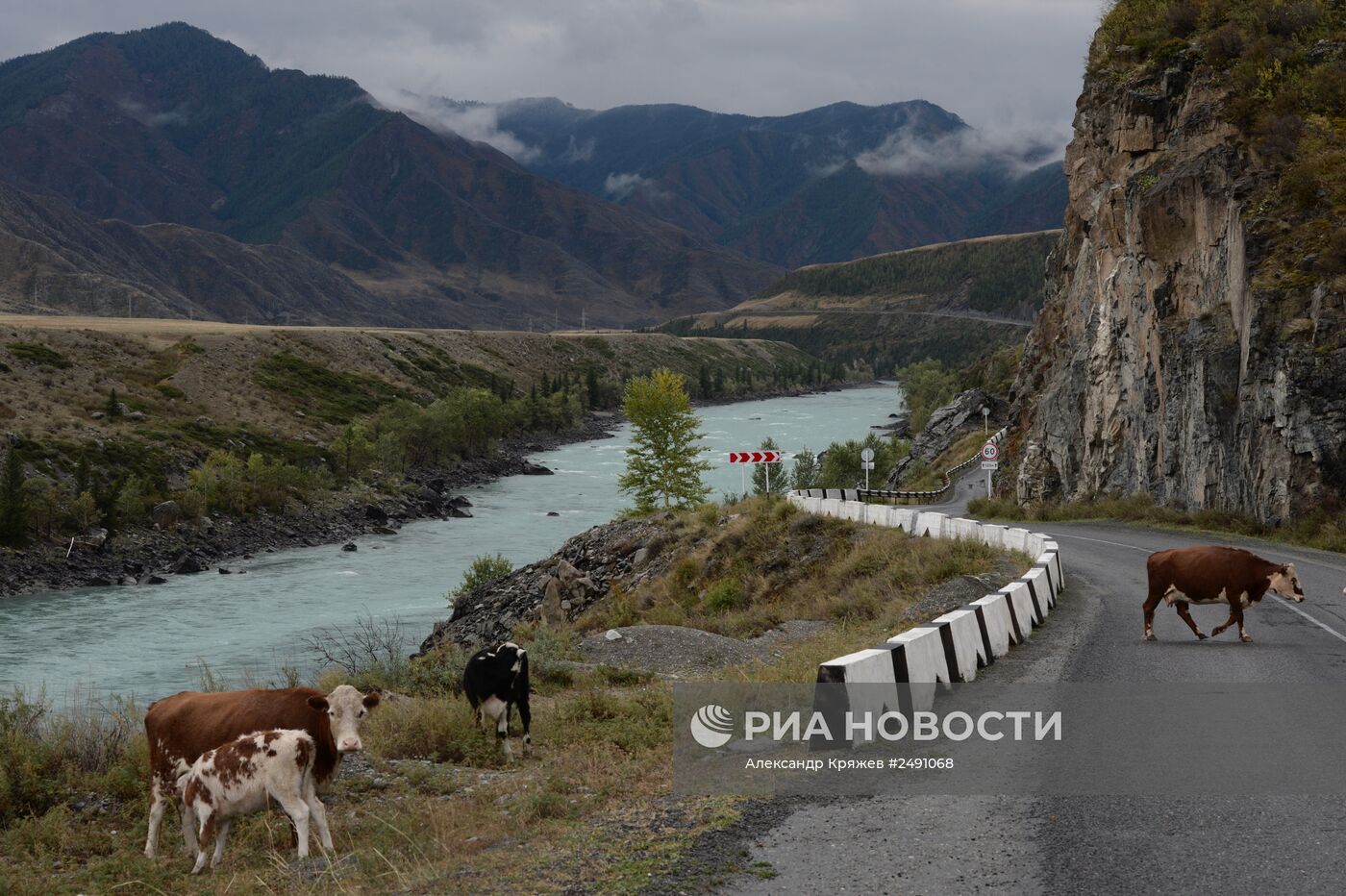 Регионы России. Республика Алтай