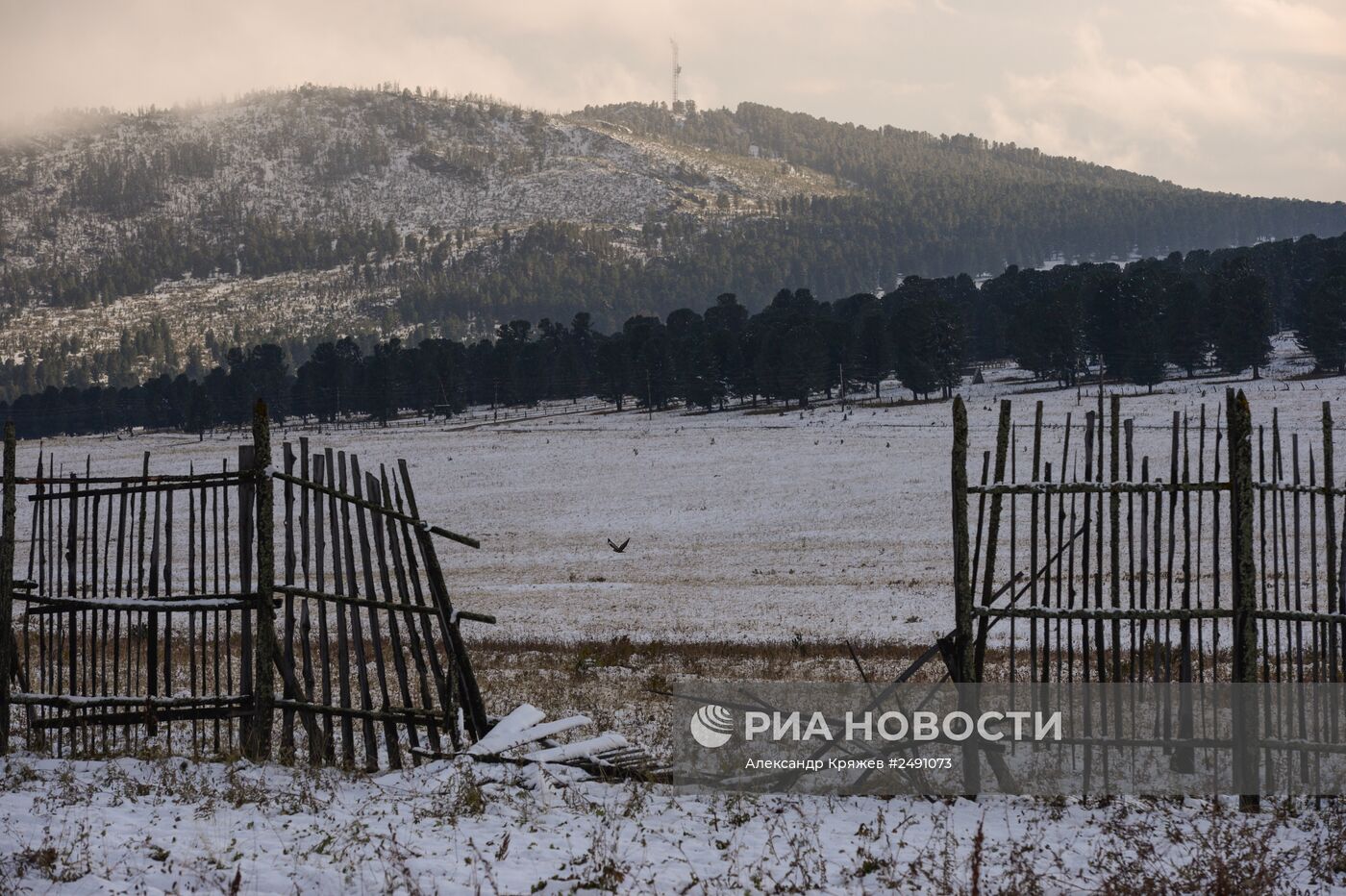Регионы России. Республика Алтай