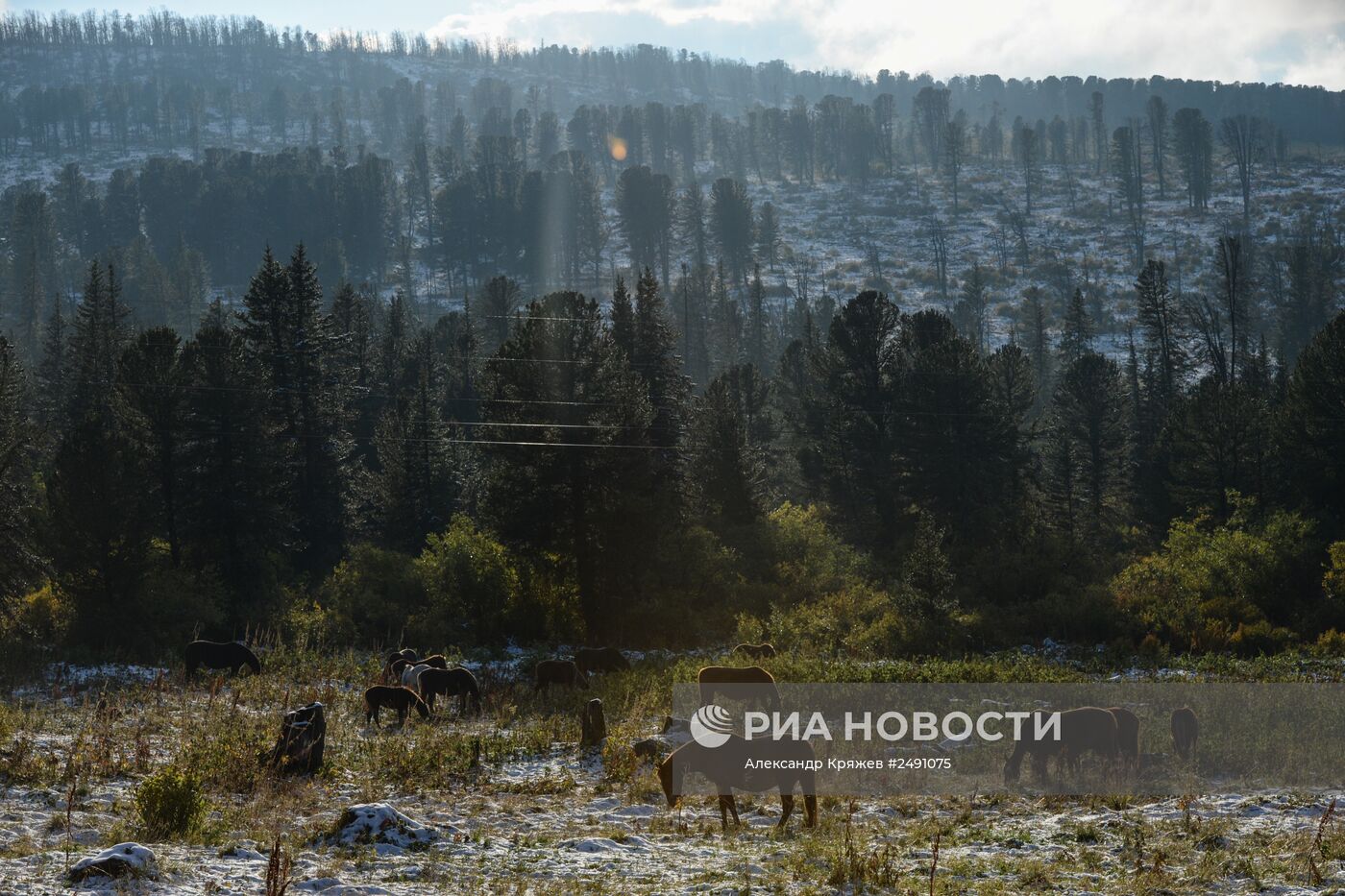 Регионы России. Республика Алтай