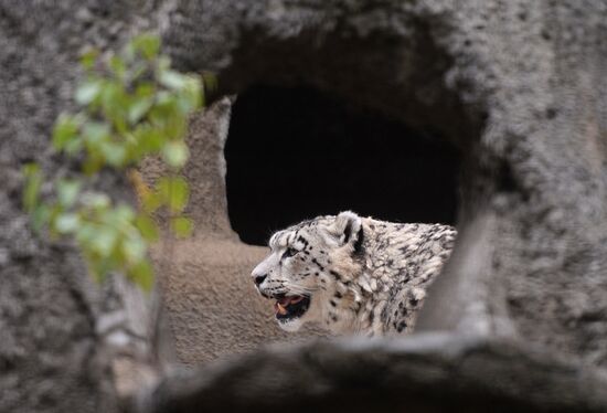 Московскому зоопарку - 150 лет