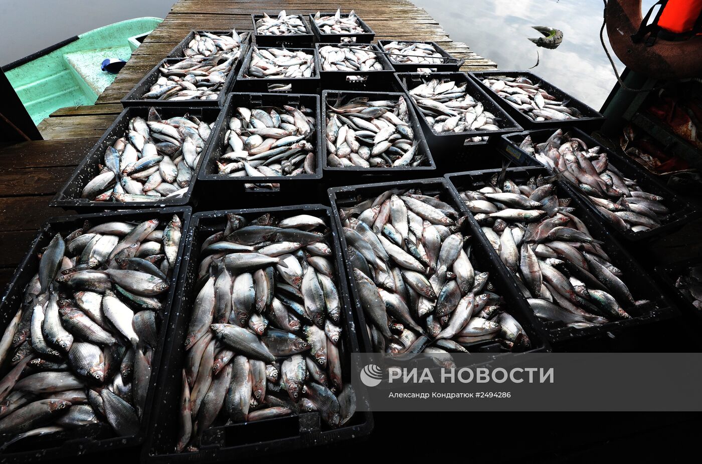 Челябинское рыбоводное хозяйство