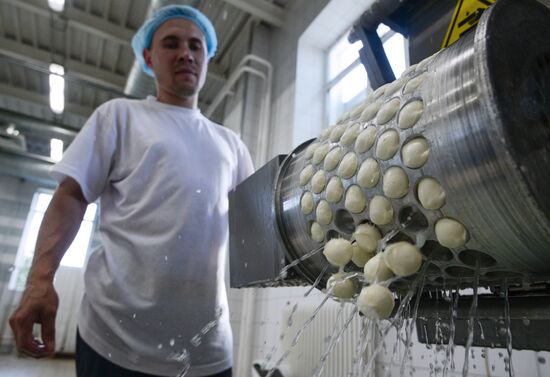 Производство сыра моцарелла на "Фабрике Фаворит" в Новосибирской области
