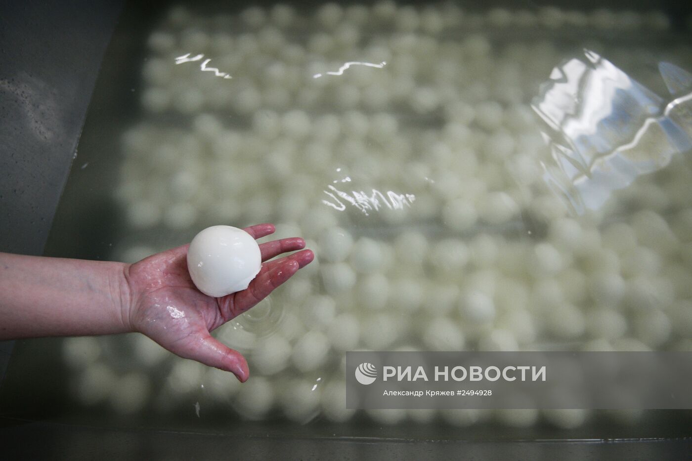 Производство сыра моцарелла на "Фабрике Фаворит" в Новосибирской области