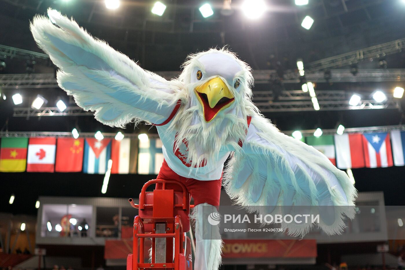 Волейбол. Чемпионат мира. Мужчины. Матч Германия - Польша