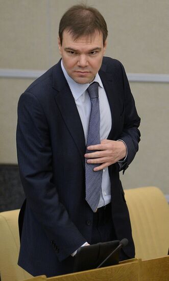 Пленарное заседание Госдумы РФ