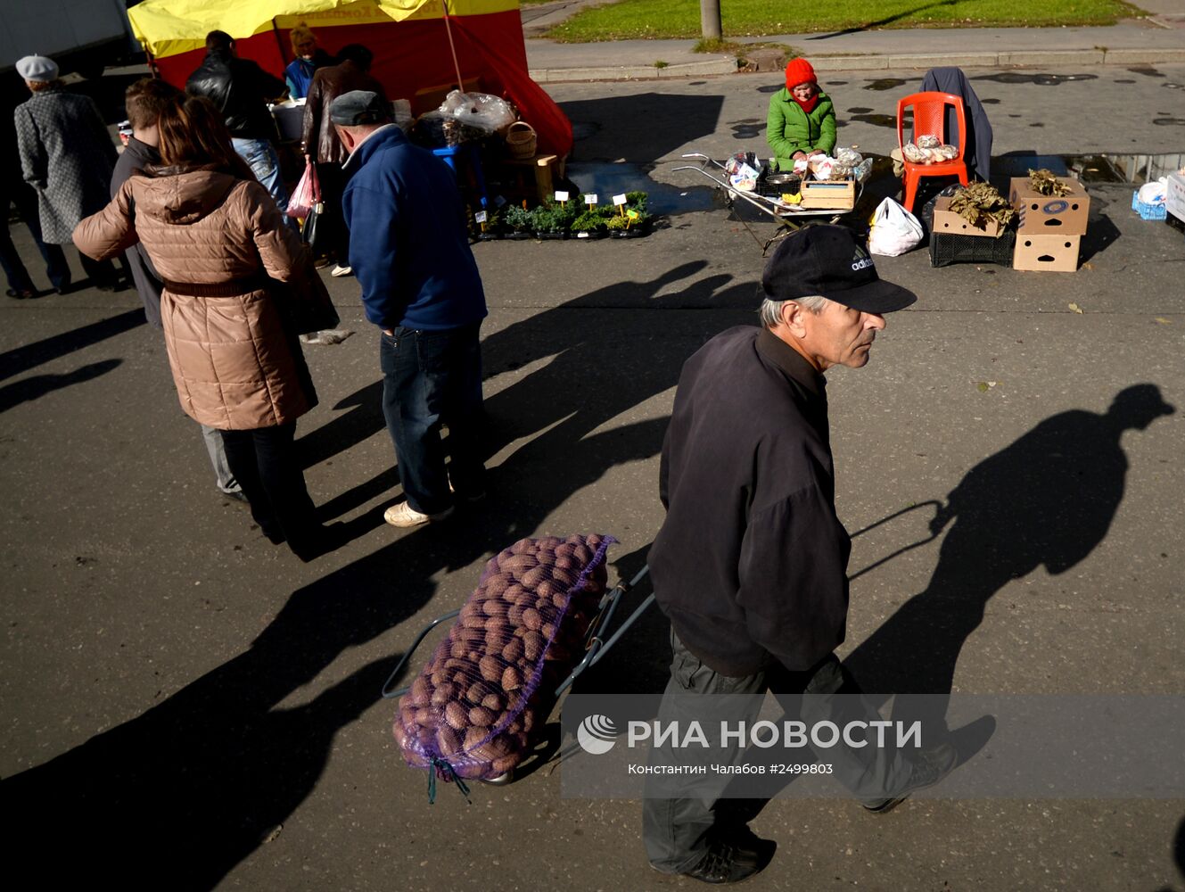 Сельскохозяйственная ярмарка в Великом Новгороде