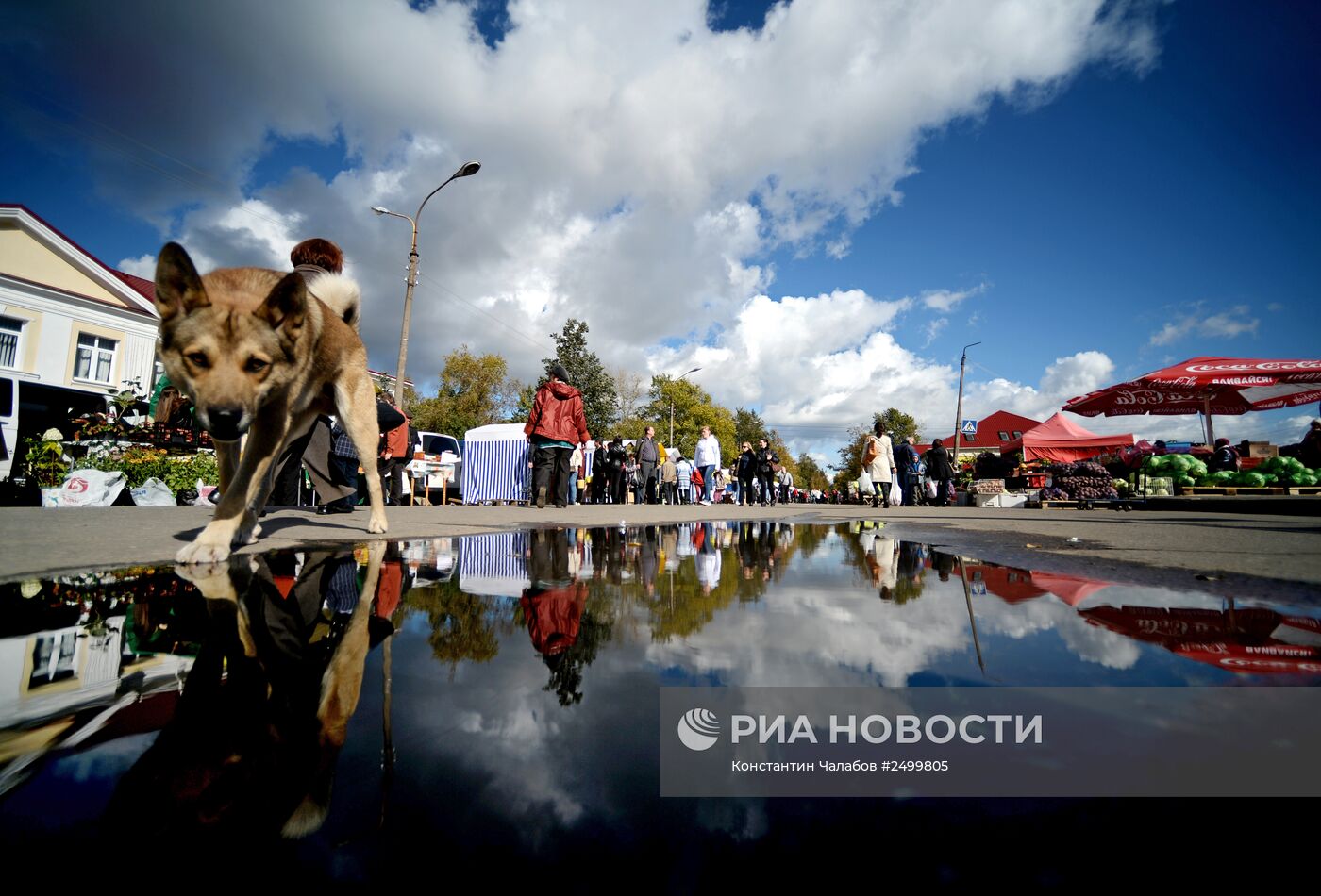 Сельскохозяйственная ярмарка в Великом Новгороде