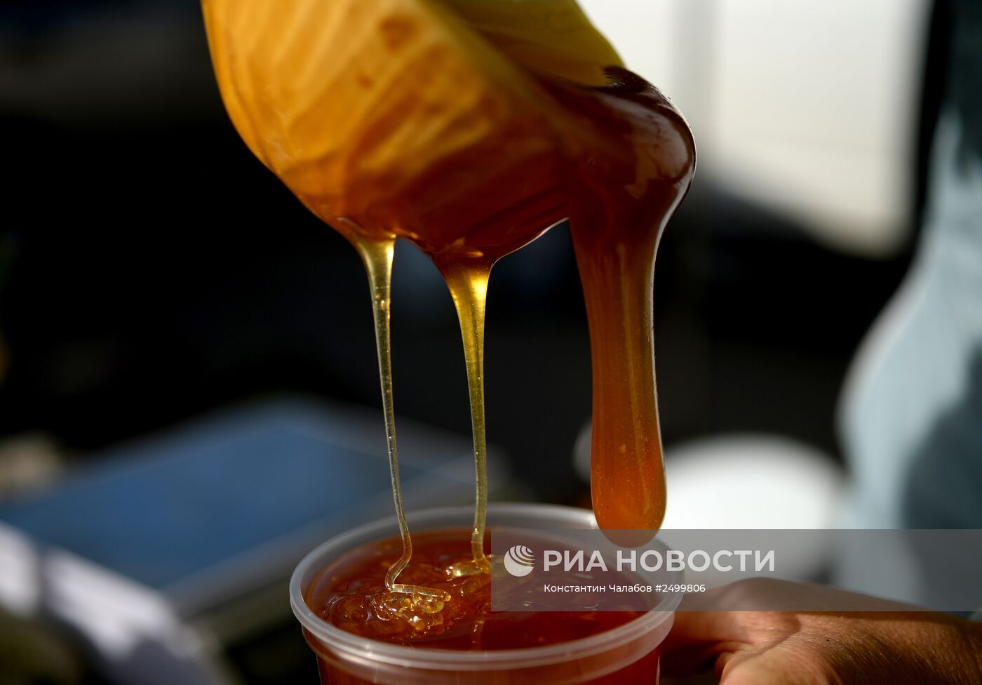 Сельскохозяйственная ярмарка в Великом Новгороде