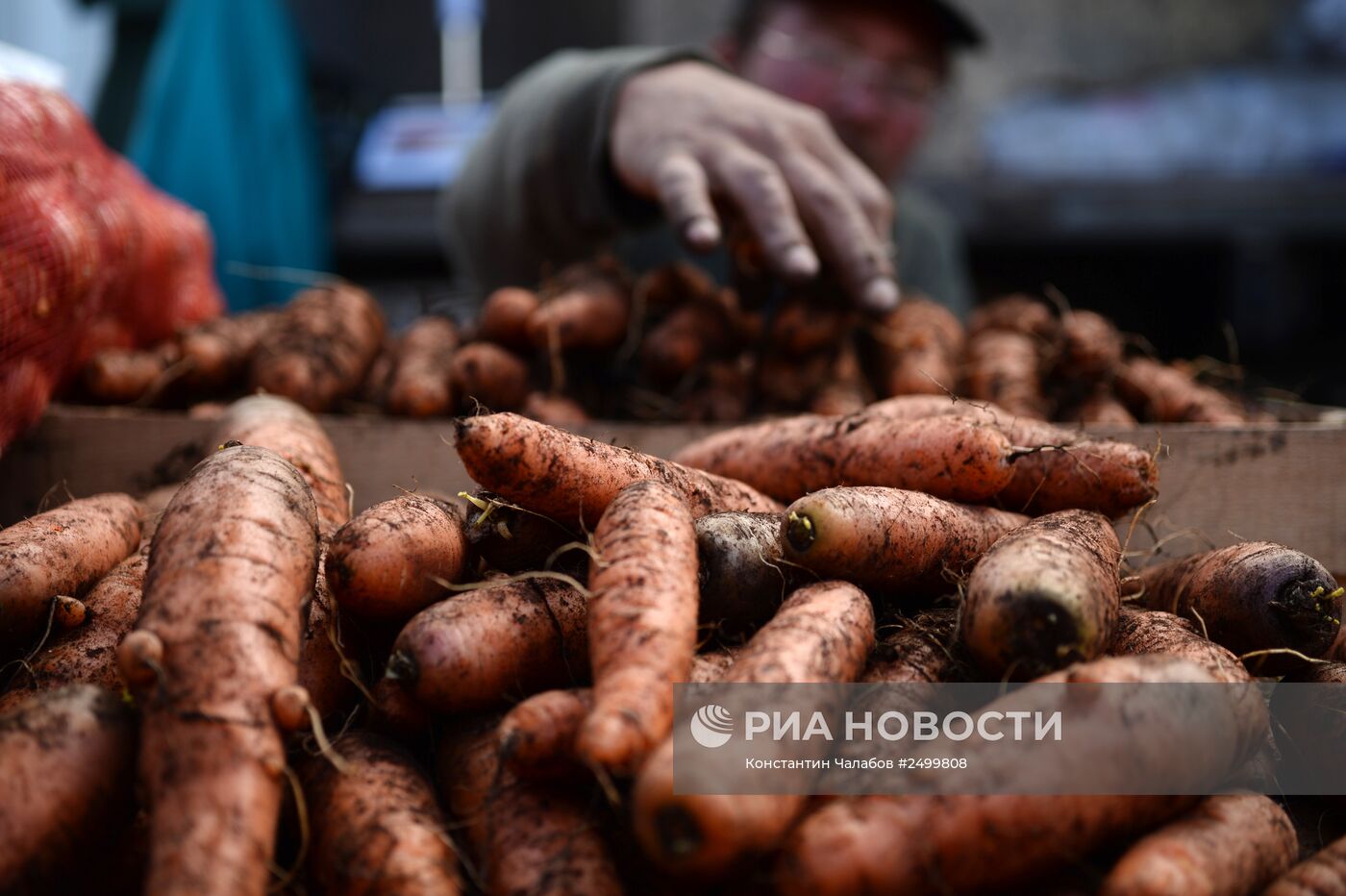 Сельскохозяйственная ярмарка в Великом Новгороде