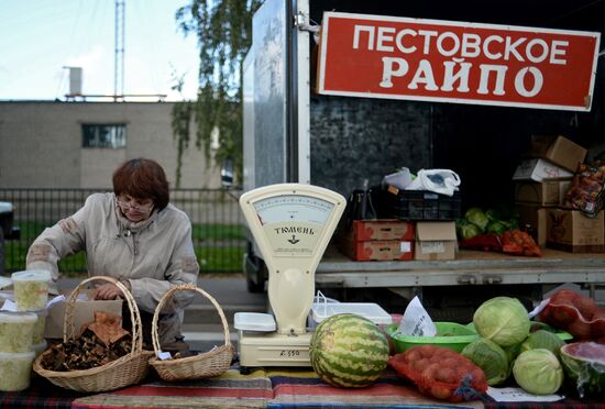 Сельскохозяйственная ярмарка в Великом Новгороде