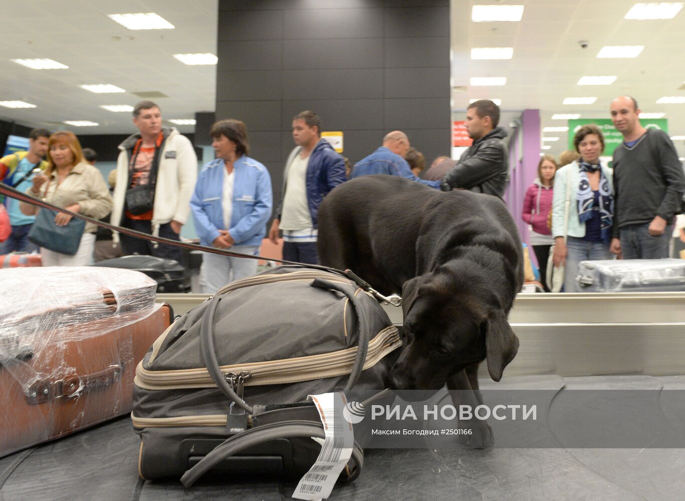 Работа таможенного поста в аэропорту Казани