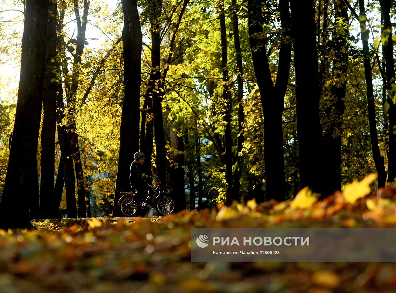 Золотая осень в Великом Новгороде