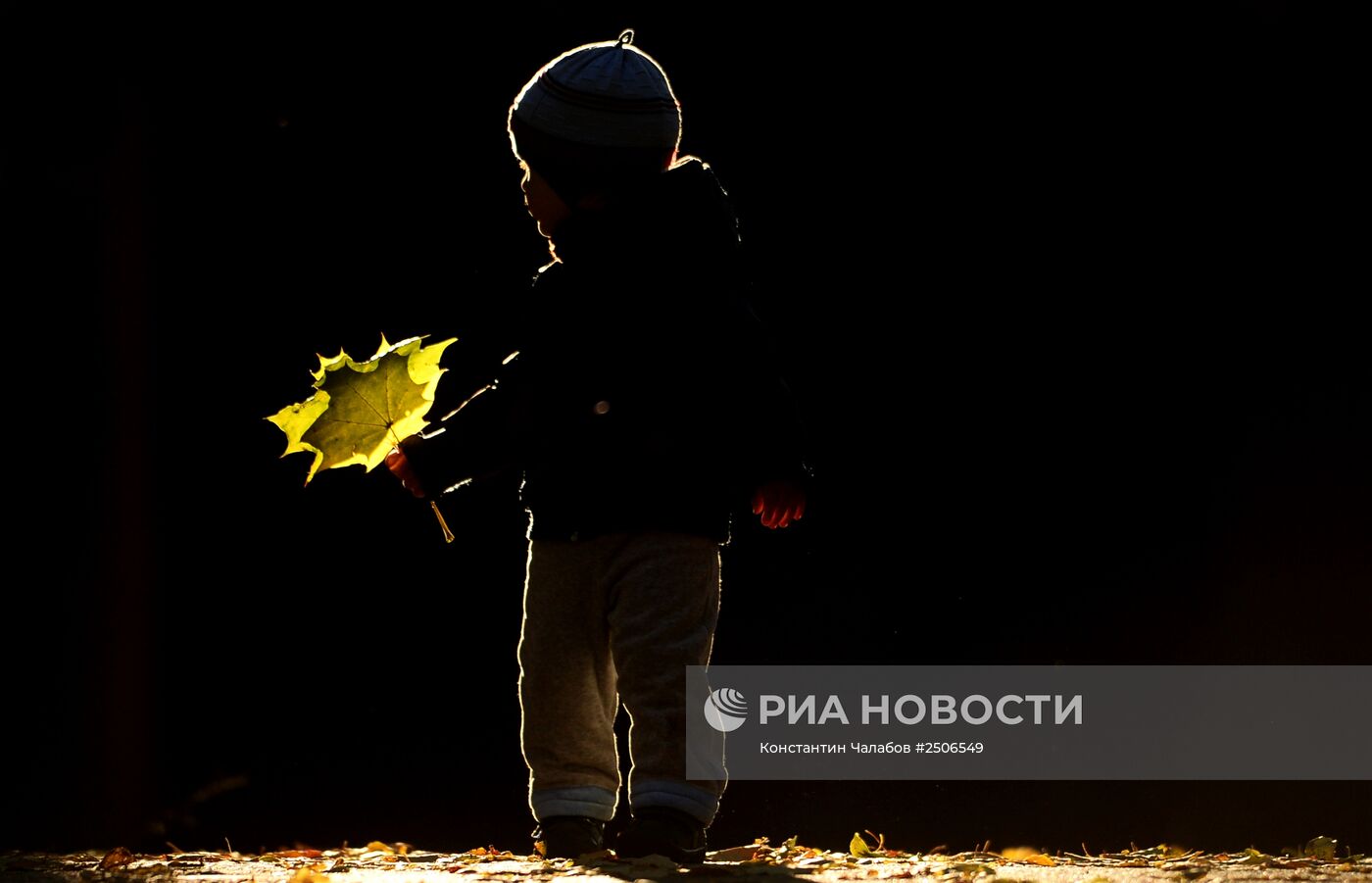 Золотая осень в Великом Новгороде