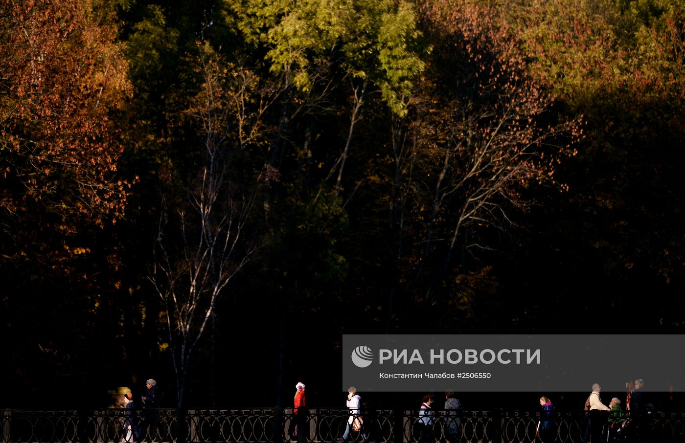 Золотая осень в Великом Новгороде