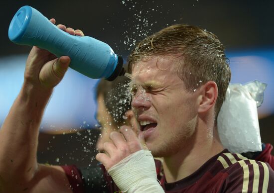 Футбол. Отборочный матч ЧЕ-2016. Швеция - Россия