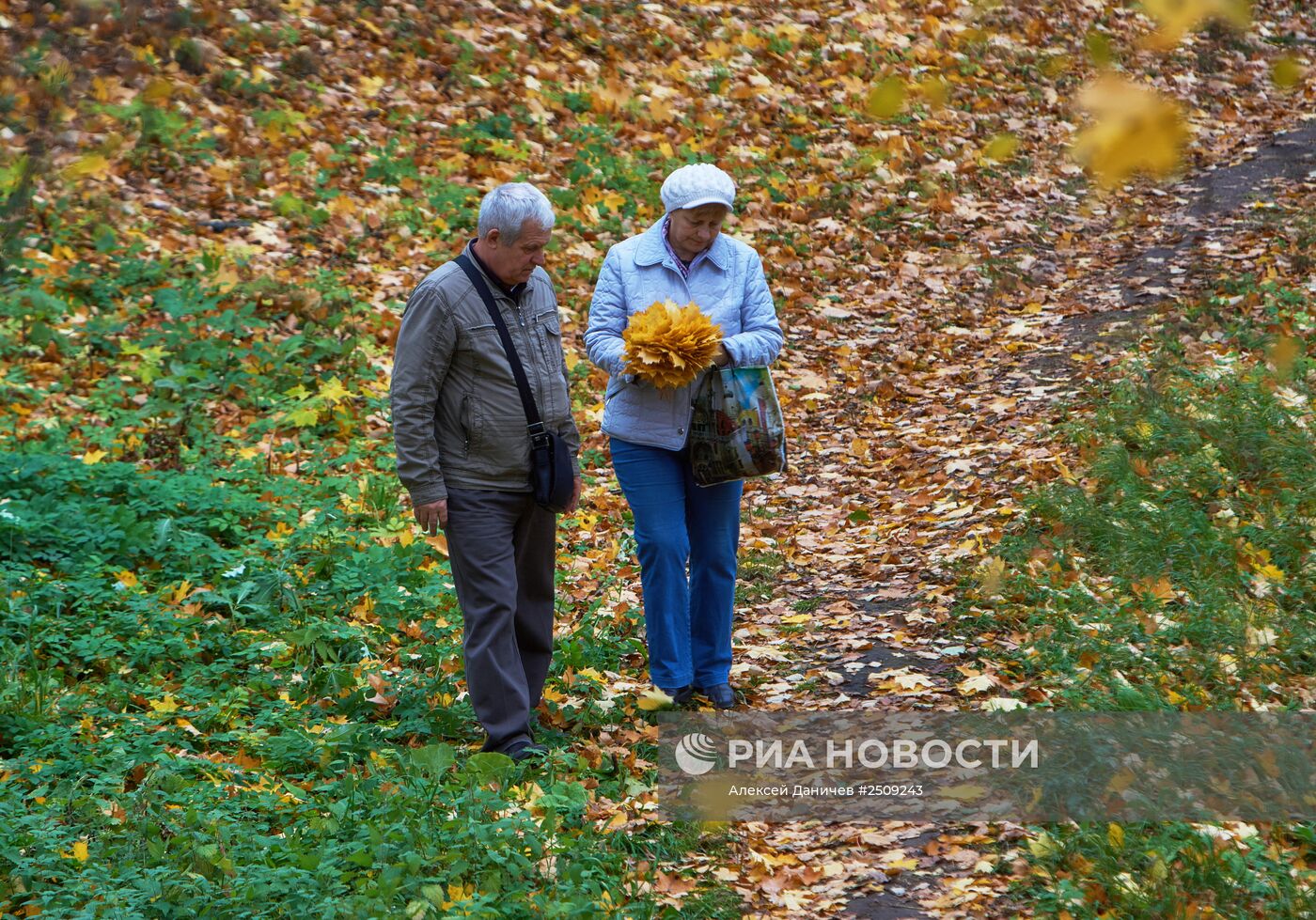 Золотая осень в Ораниенбауме