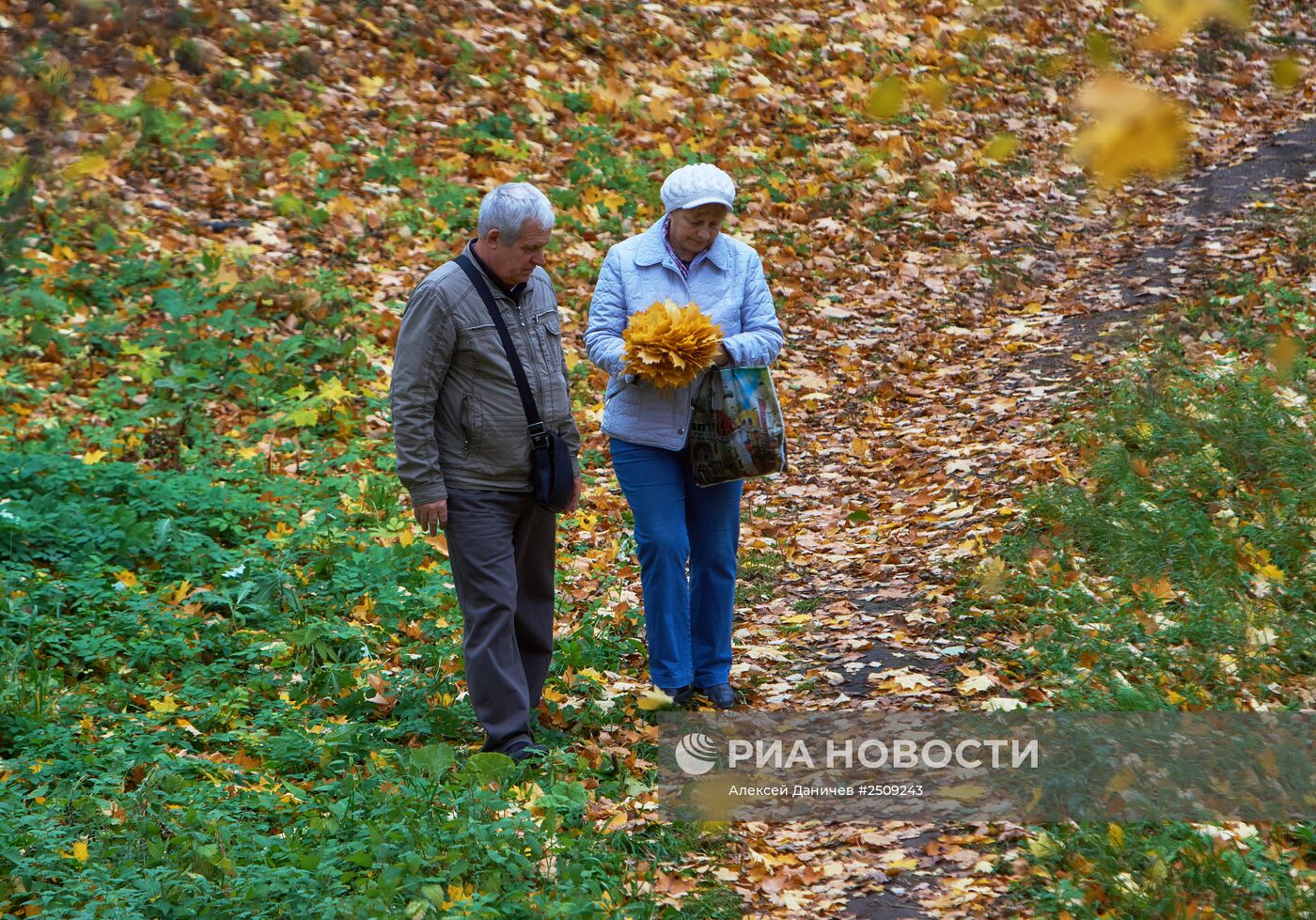 Золотая осень в Ораниенбауме