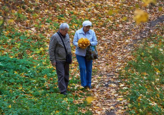 Золотая осень в Ораниенбауме