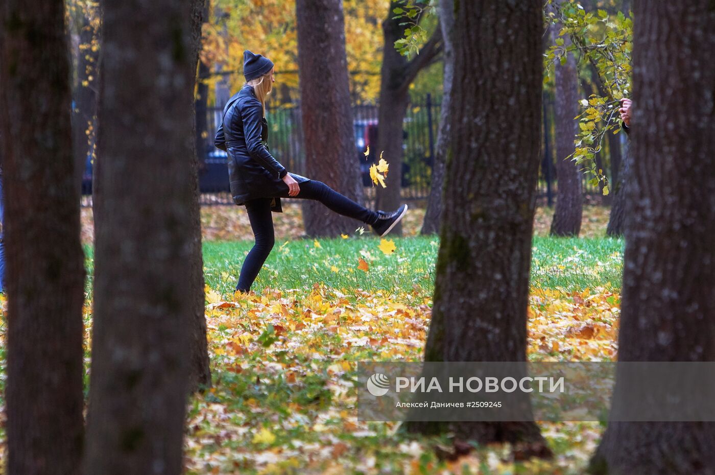 Золотая осень в Ораниенбауме