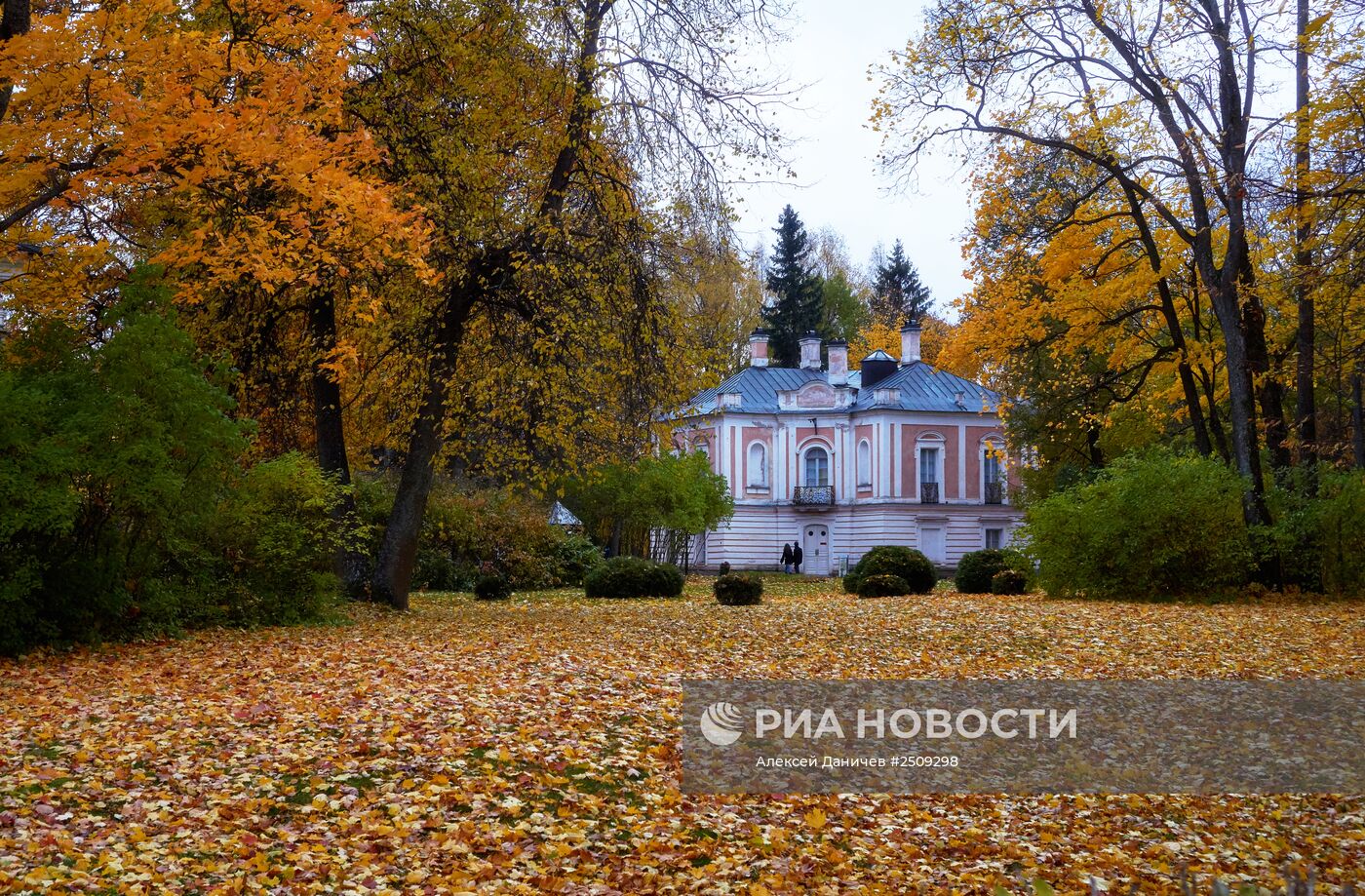 Золотая осень в Ораниенбауме