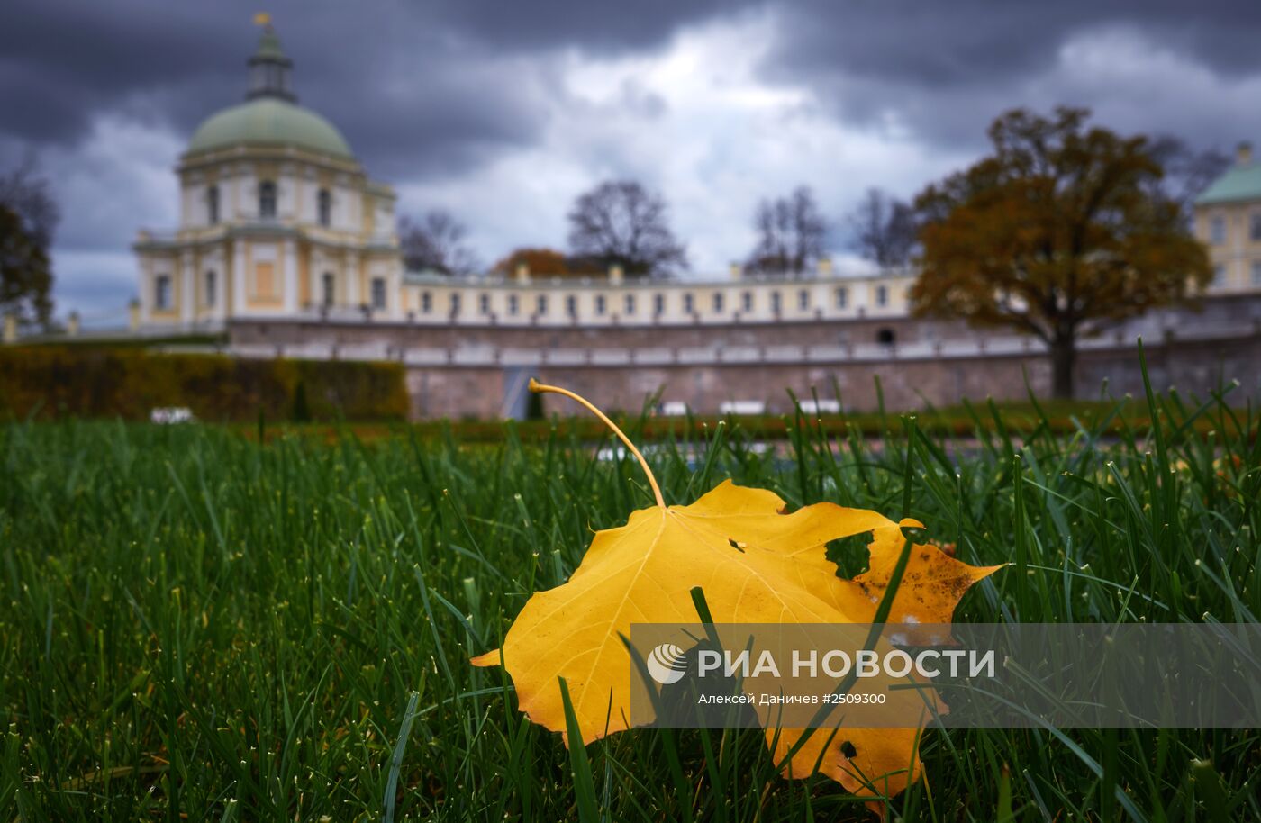 Золотая осень в Ораниенбауме