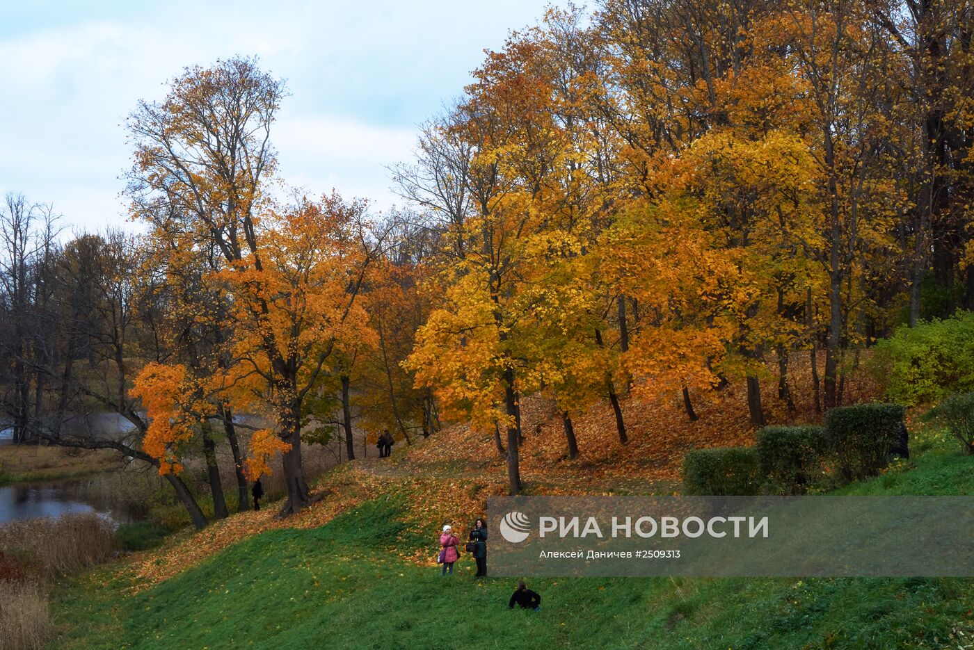 Золотая осень в Ораниенбауме