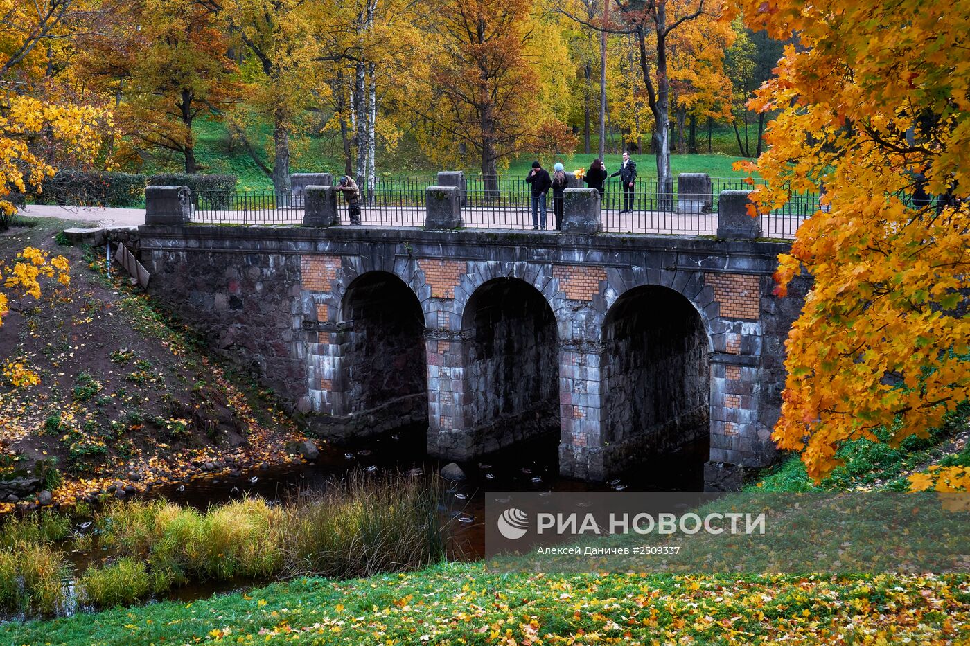 Золотая осень в Ораниенбауме