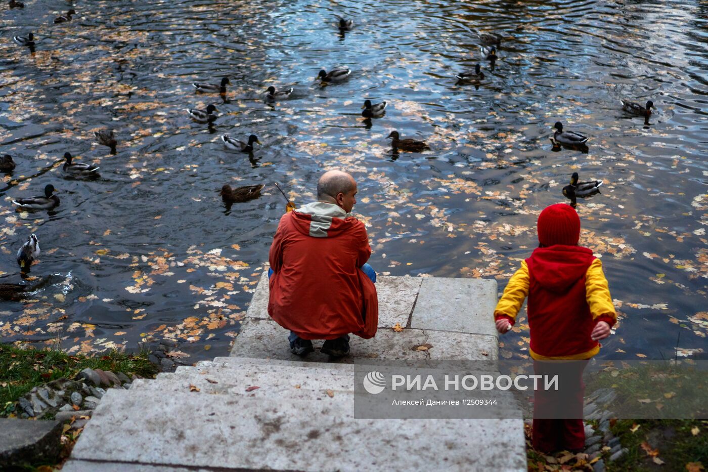 Золотая осень в Ораниенбауме