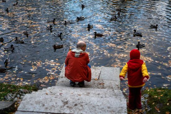 Золотая осень в Ораниенбауме