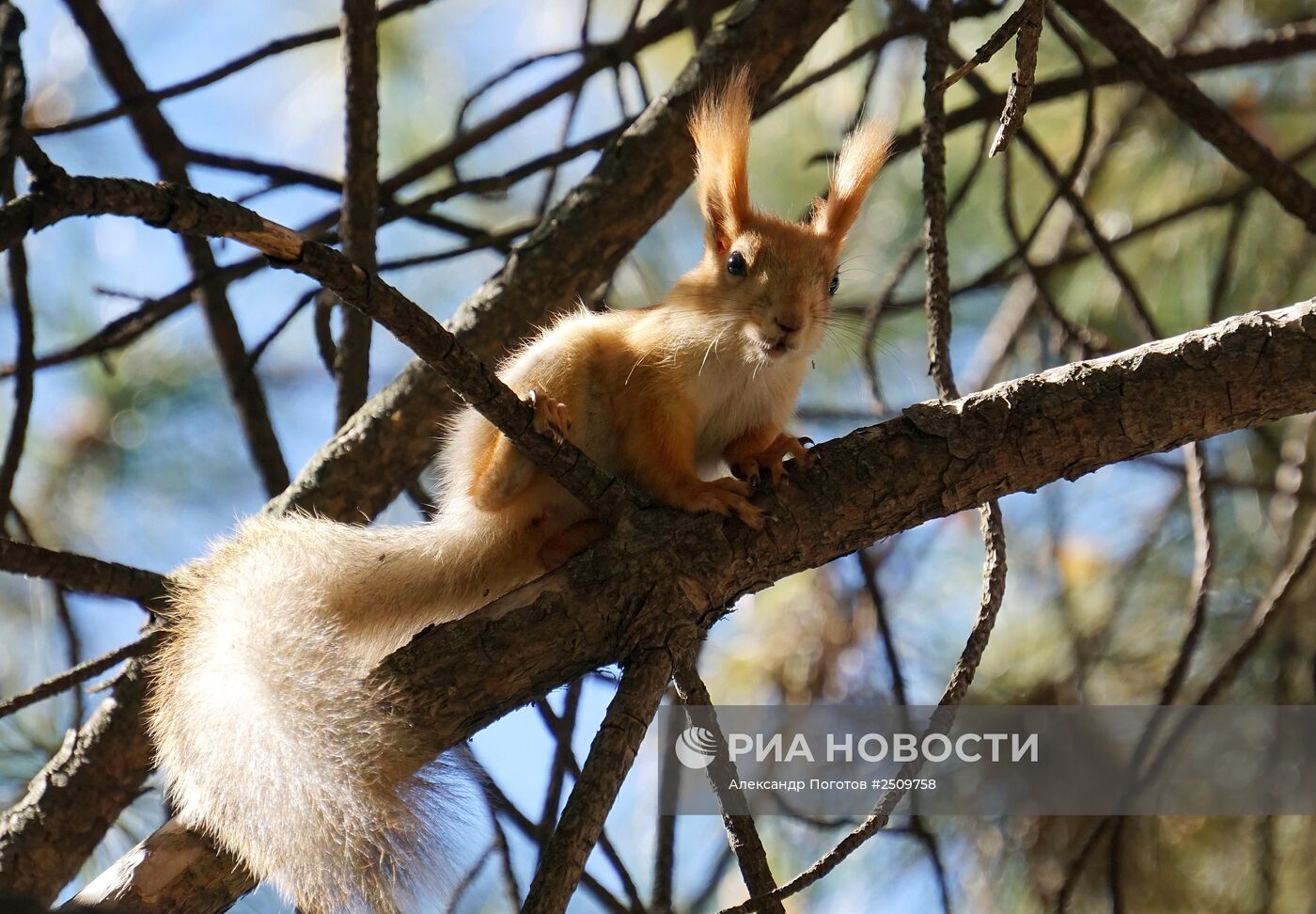 Осень в Ростове-на-Дону