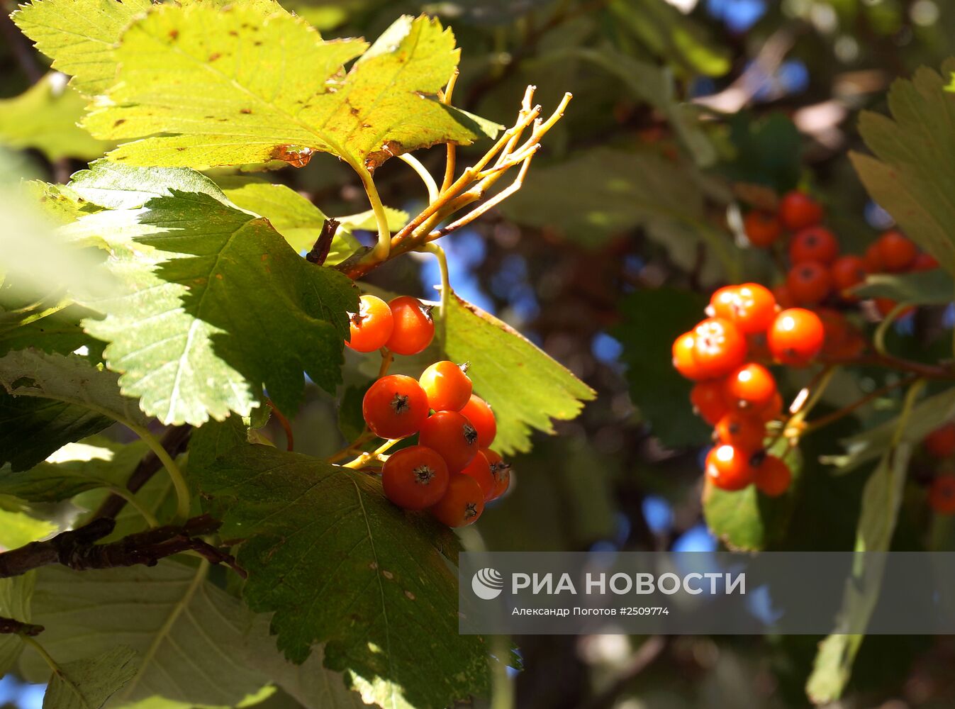 Осень в Ростове-на-Дону